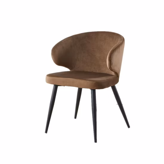 Hotel Room Table and Chair Dining Chair Restaurant and Coffee Shop Chair Home Dining Steel Furniture Modern Style Dining Chair
